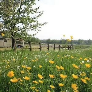 https://agriturismo-cargandino.italymilanhotels.net